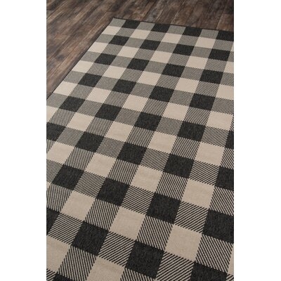 Adrienne Plaid Charcoal Indoor / Outdoor Area Rug - Image 0