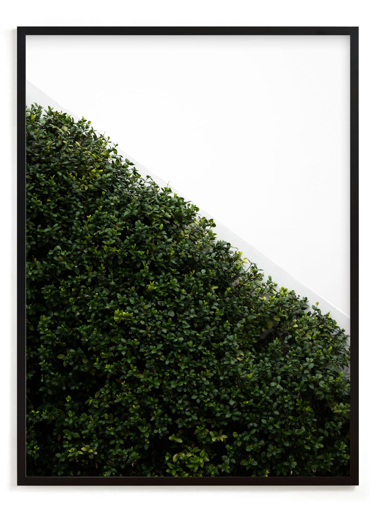 Verdant Garden I Limited Edition Fine Art Print 2 - Image 0