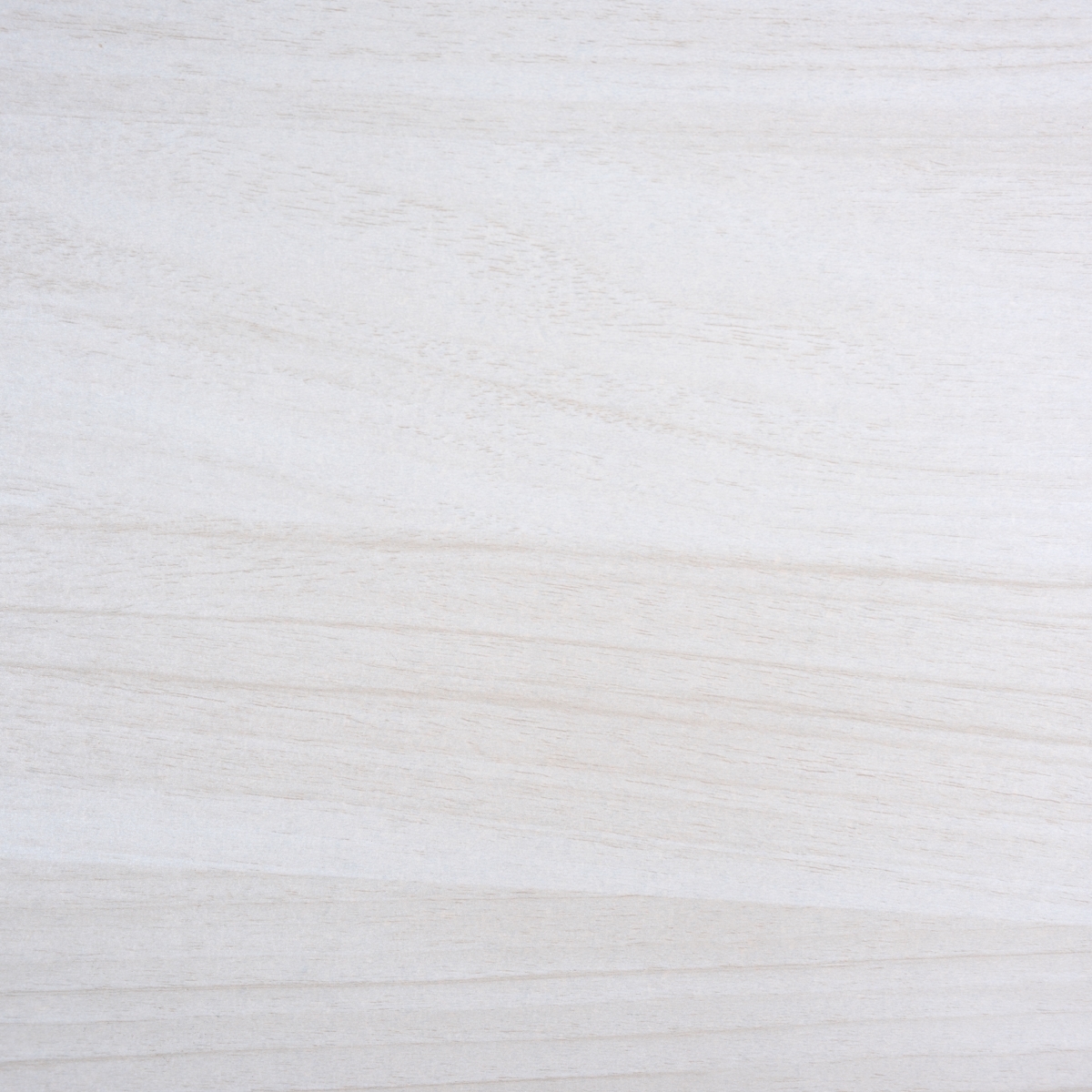 Lylia 1 Door Media Stand - Bleached White / Gold - Safavieh - Image 5