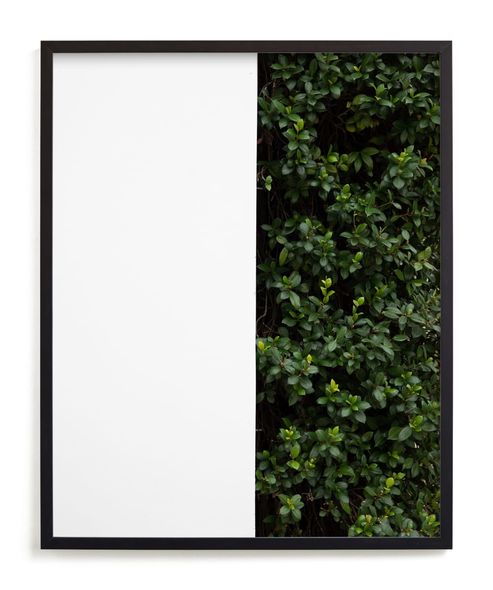 Verdant Garden III Limited Edition Fine Art Print 2 - Image 0