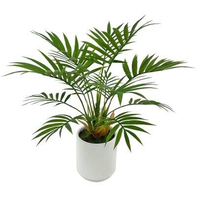 Artificial  Plant, Potted Artificial Plant For Home Office Decoration, Ships In  Ceramic Planter - Image 0