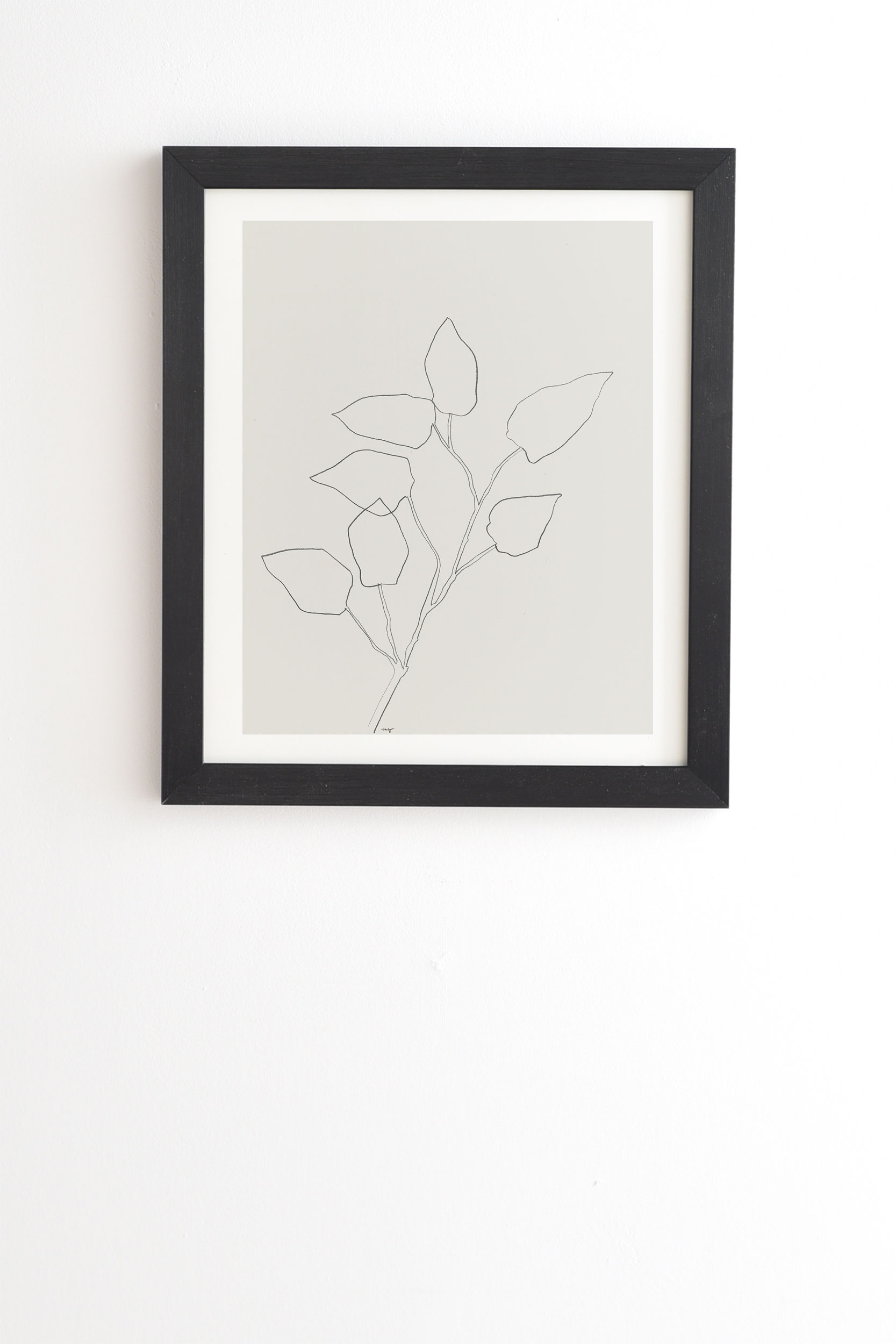 Floral Study No 5 by Megan Galante - Framed Wall Art Basic Black 30" x 30" - Image 0