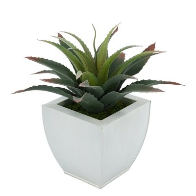 7'' Artificial Succulent Plant in Pot - Image 0