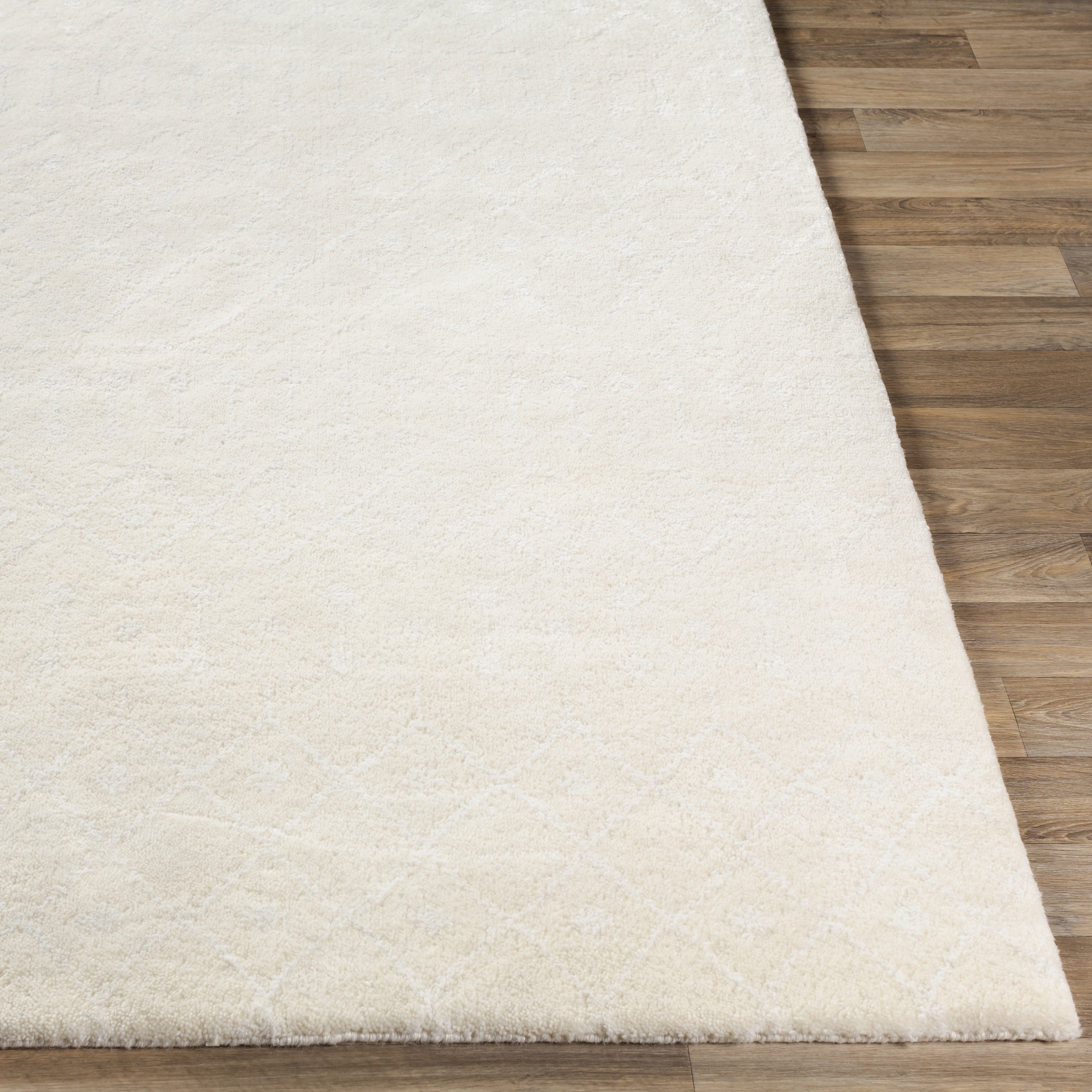 Casa White Indoor 4' x 6' Handmade Rug - Image 2
