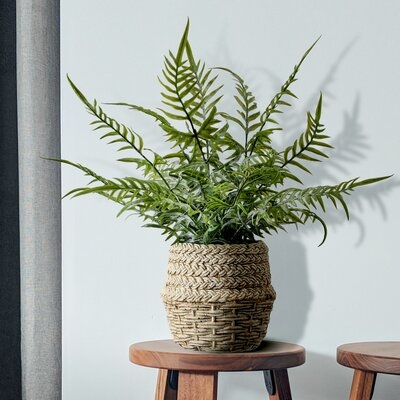 Plastic UV Proof Natural Touch Forest Fern In Cement Pot 15" - Image 0