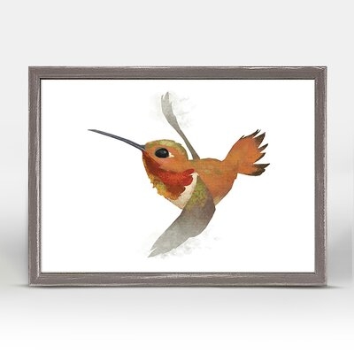 Rufous Hummingbird By Brad Sneed Art Prints - Image 0