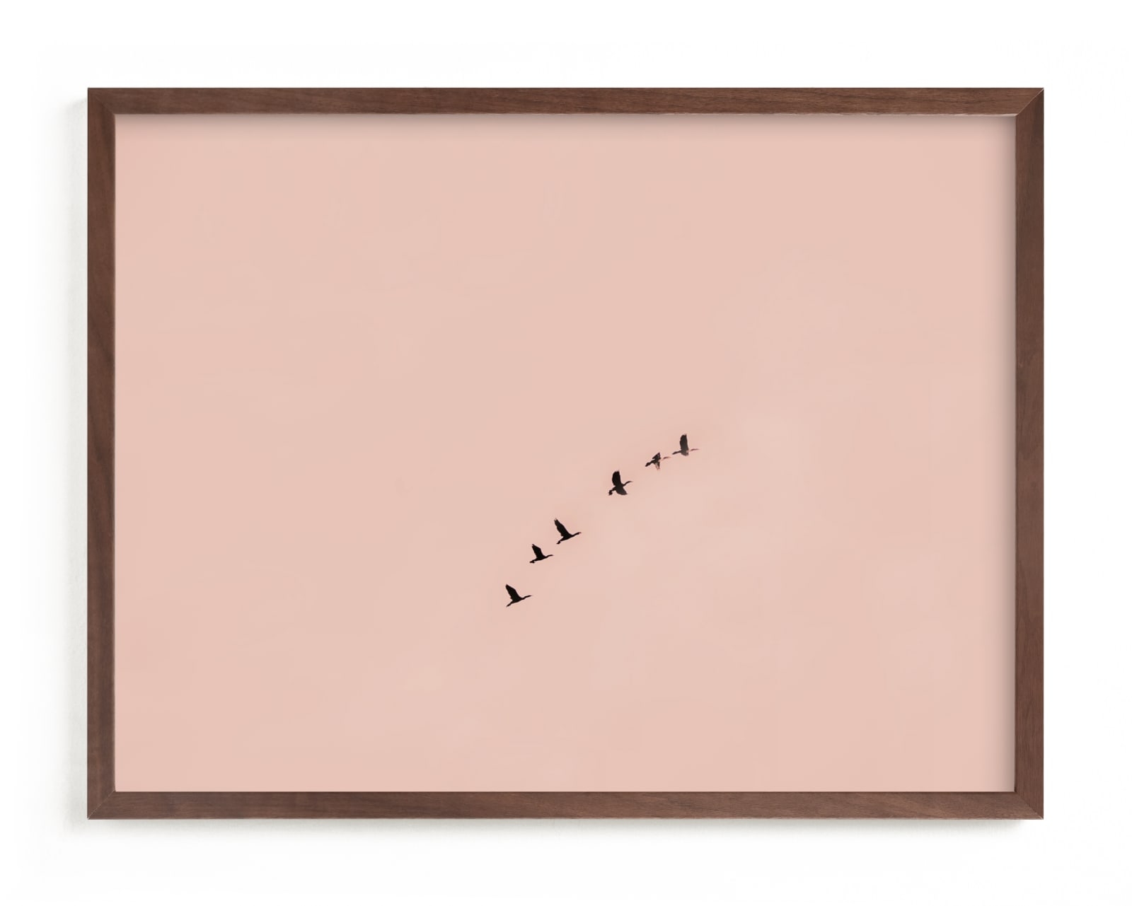 Birds In Flight Limited Edition Fine Art Print 1 - Image 0