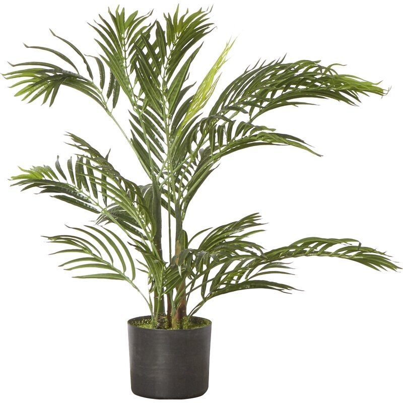 Faux Areca Palm Tree Floor Plant, 30" - Image 0