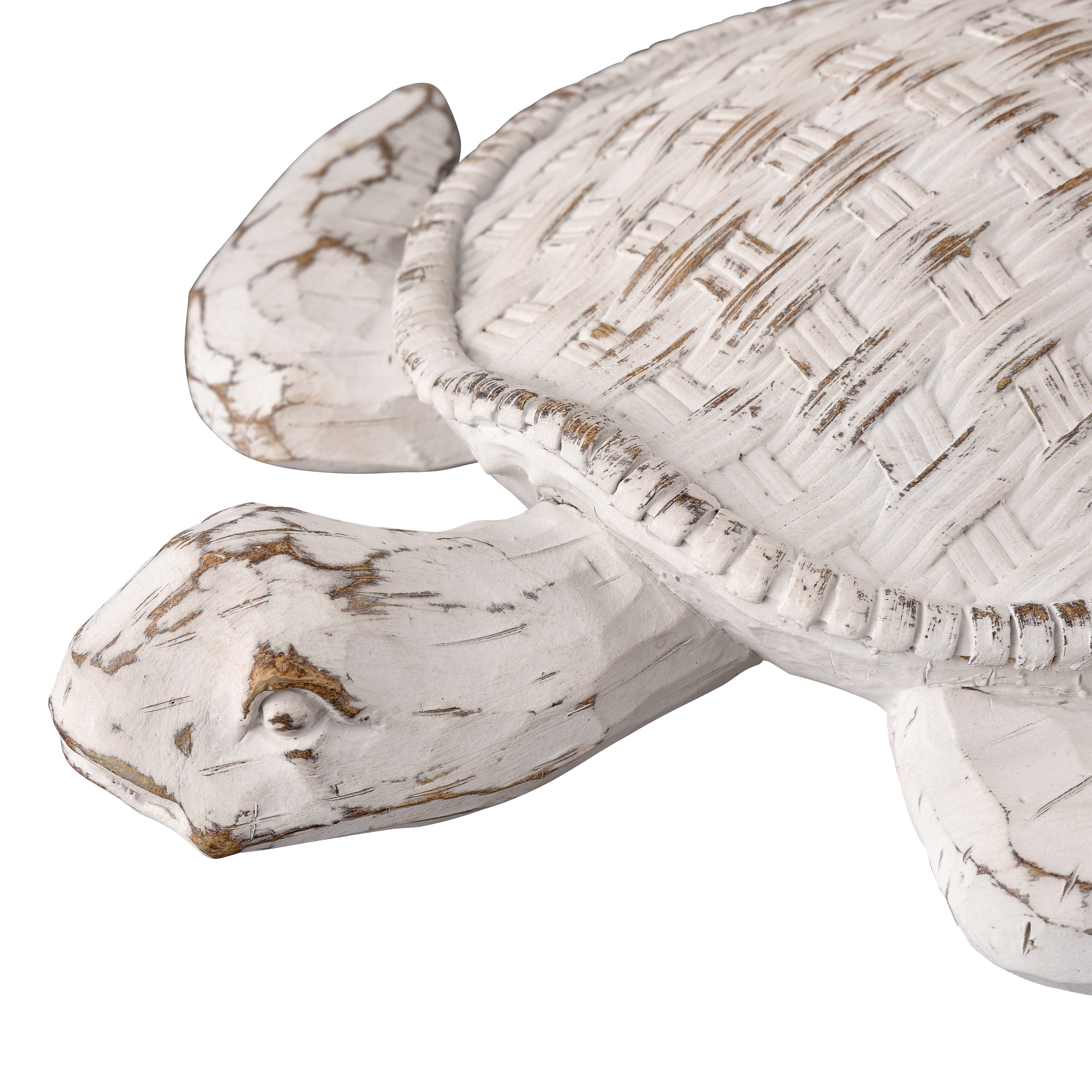 Aly Turtle - Whitewash - Image 3