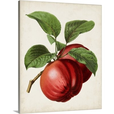 Antique Fruit X Canvas Wall Art - Image 0