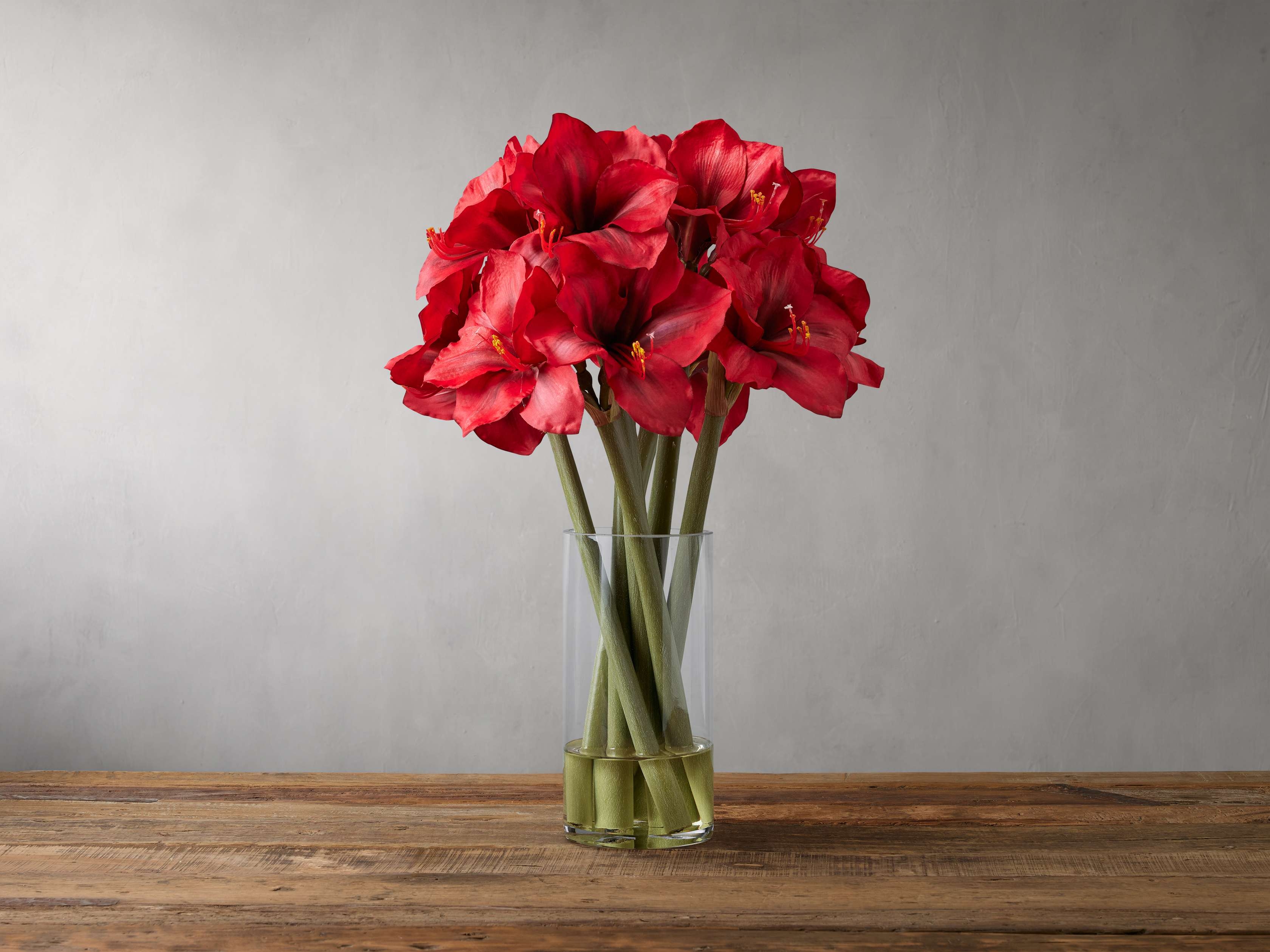 Faux Amaryllis in Vase Red - Image 0