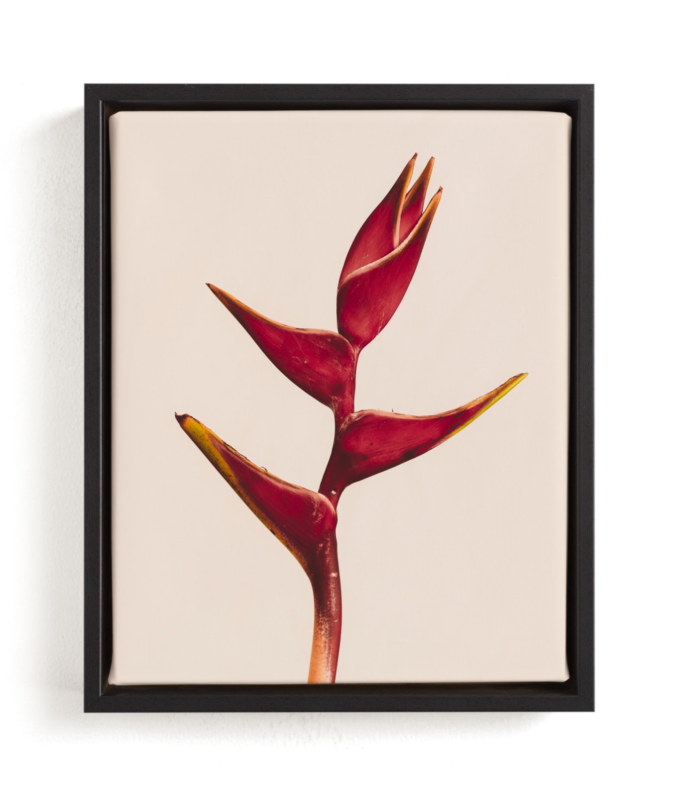 Heliconia 3 Limited Edition Fine Art Print 2 - Image 0