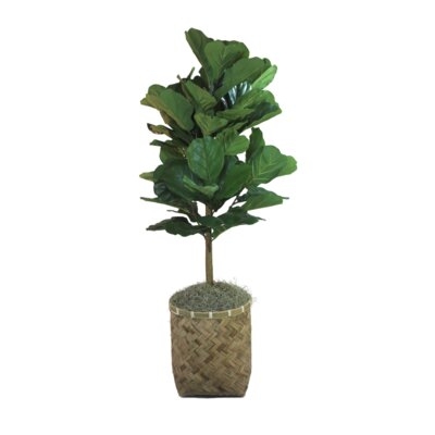 35'' Artificial Fiddle Leaf Fig Plant in Planter - Image 0