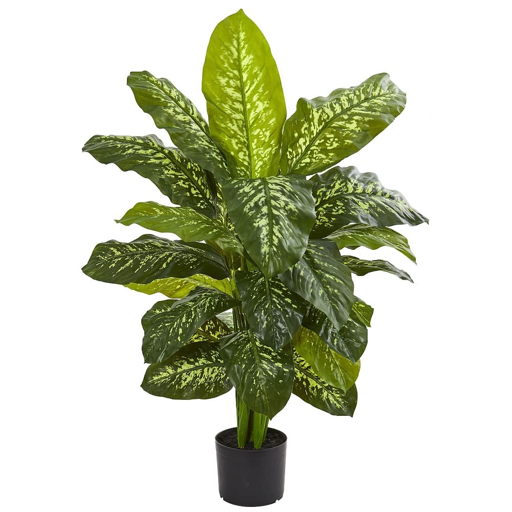Dieffenbachia Faux Plant, 42" - Image 0