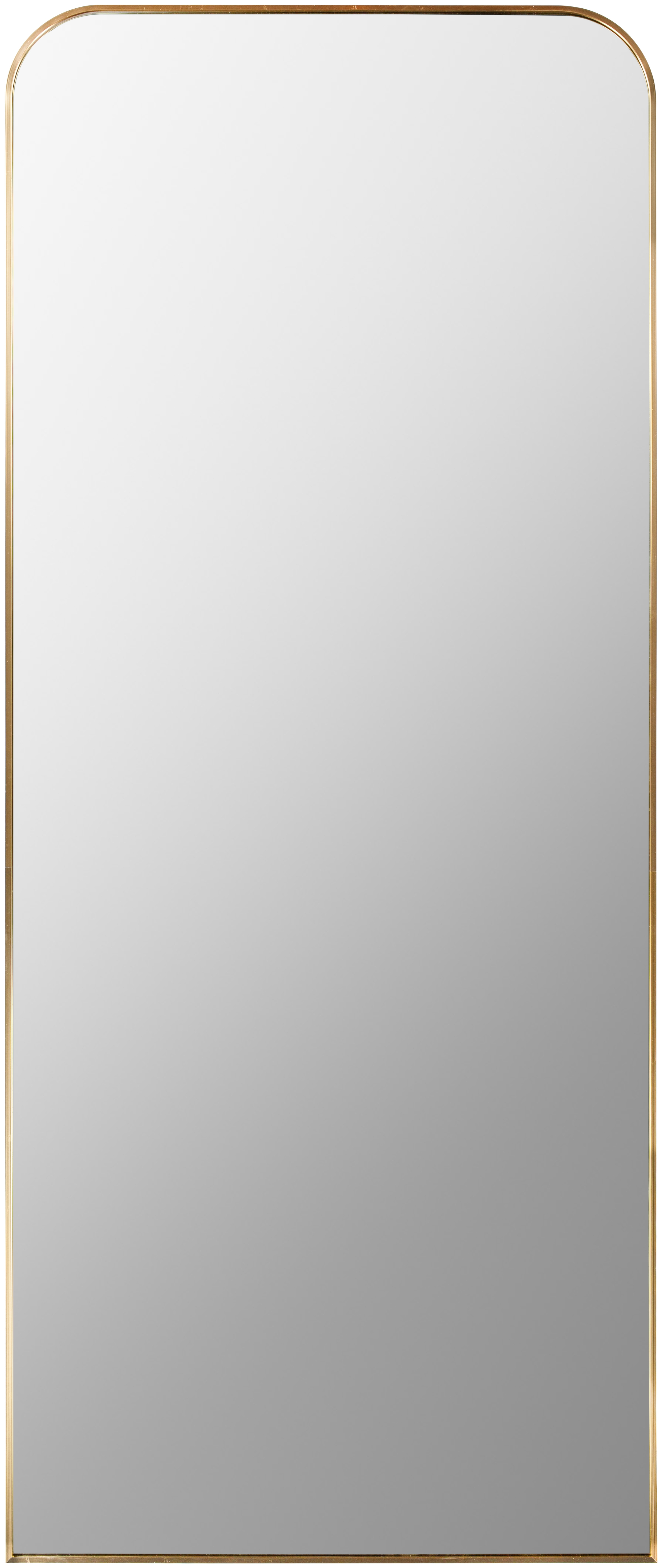 Livabliss Aranya Gold 67"H x 28"W x 1"D Full Length Mirror - Image 0