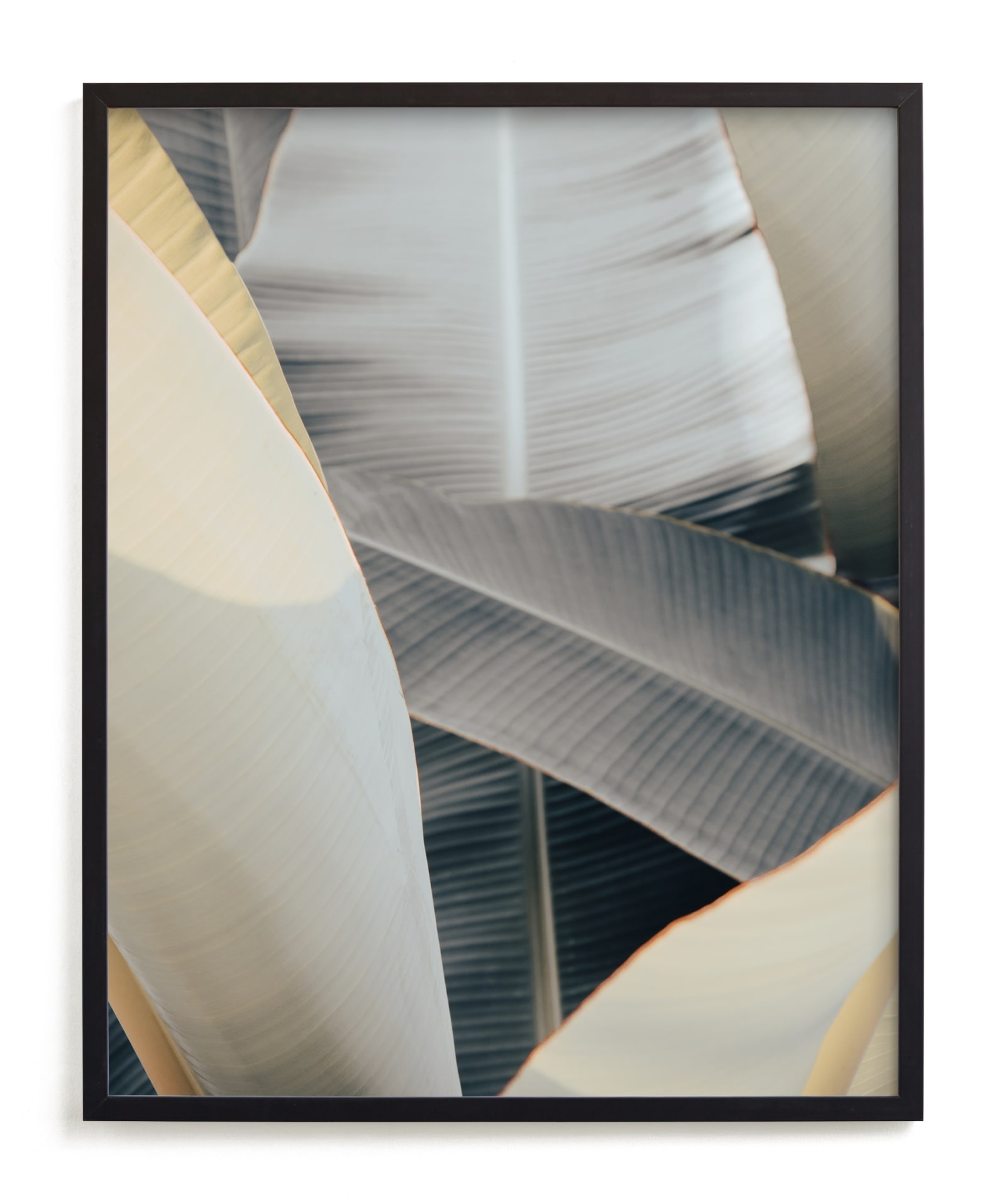 Metal Leaves Open Edition Fine Art Print - Image 0