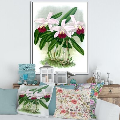 Vintage White Orchid Flower I - Traditional Canvas Wall Art Print FL35457 - Image 0