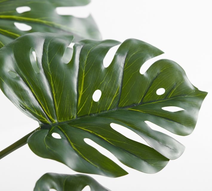 Faux Potted Houseplant,Small,Monstera - Image 2