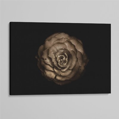 'Backyard Flowers 85' - Photographic Print On Wrapped Canvas - Image 0
