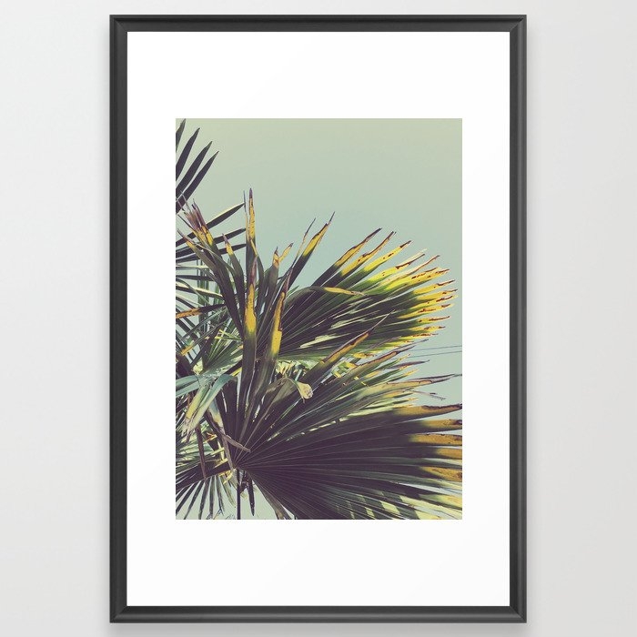 Palm Tree Framed Art Print by Cassia Beck - Scoop Black - Large 24" x 36"-26x38 - Image 0