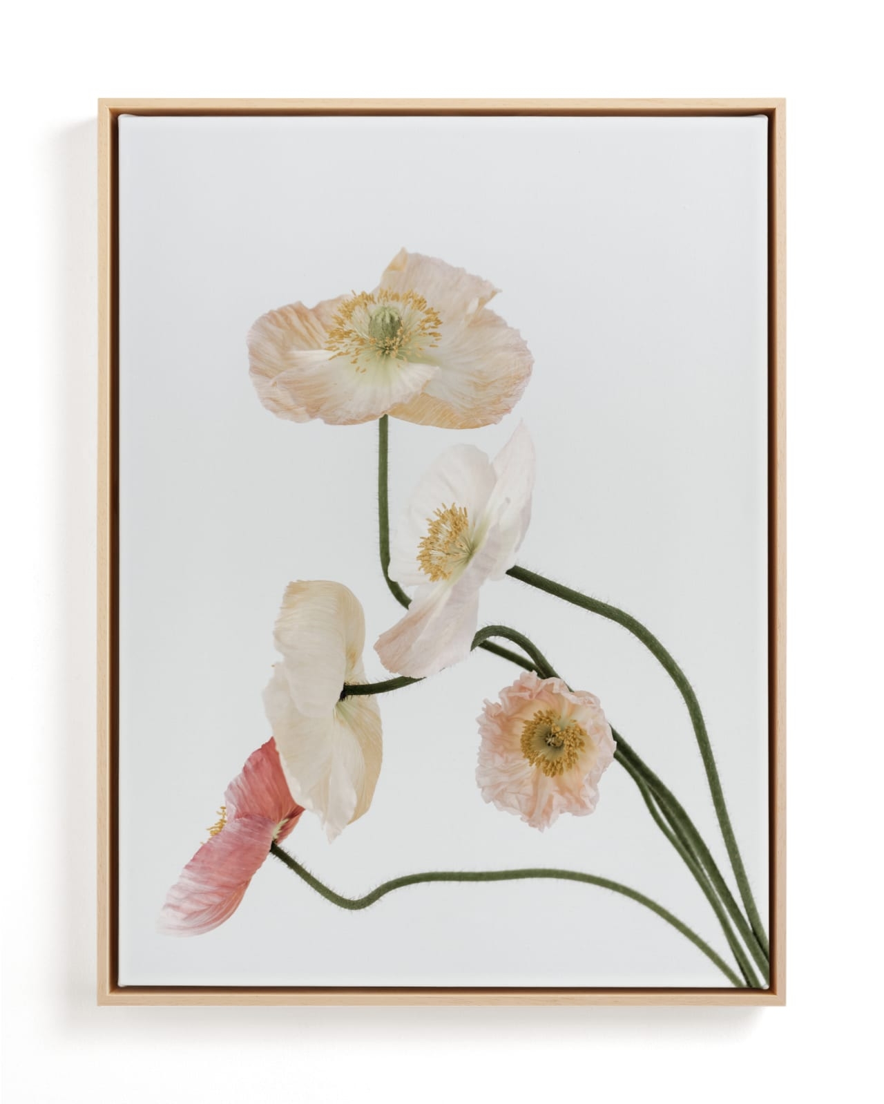 Poppies II Limited Edition Fine Art Print 2 - Image 0