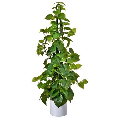 Natural Touch Climbing Philodendron Ivy Plant in Pot - Image 0