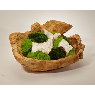Organic Moss Garden Mixed Floral Arrangement in Wood Bowl - Image 0