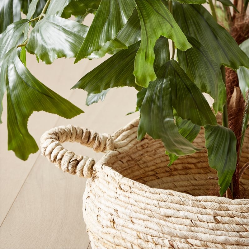 Faux Fishtail Palm Tree with Cobra Basket - Image 1