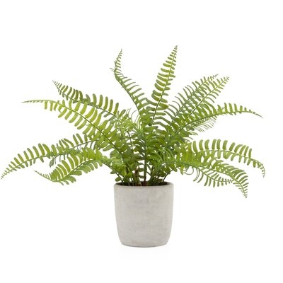 Solaro 8'' Faux Plant in Cement Pot - Image 0
