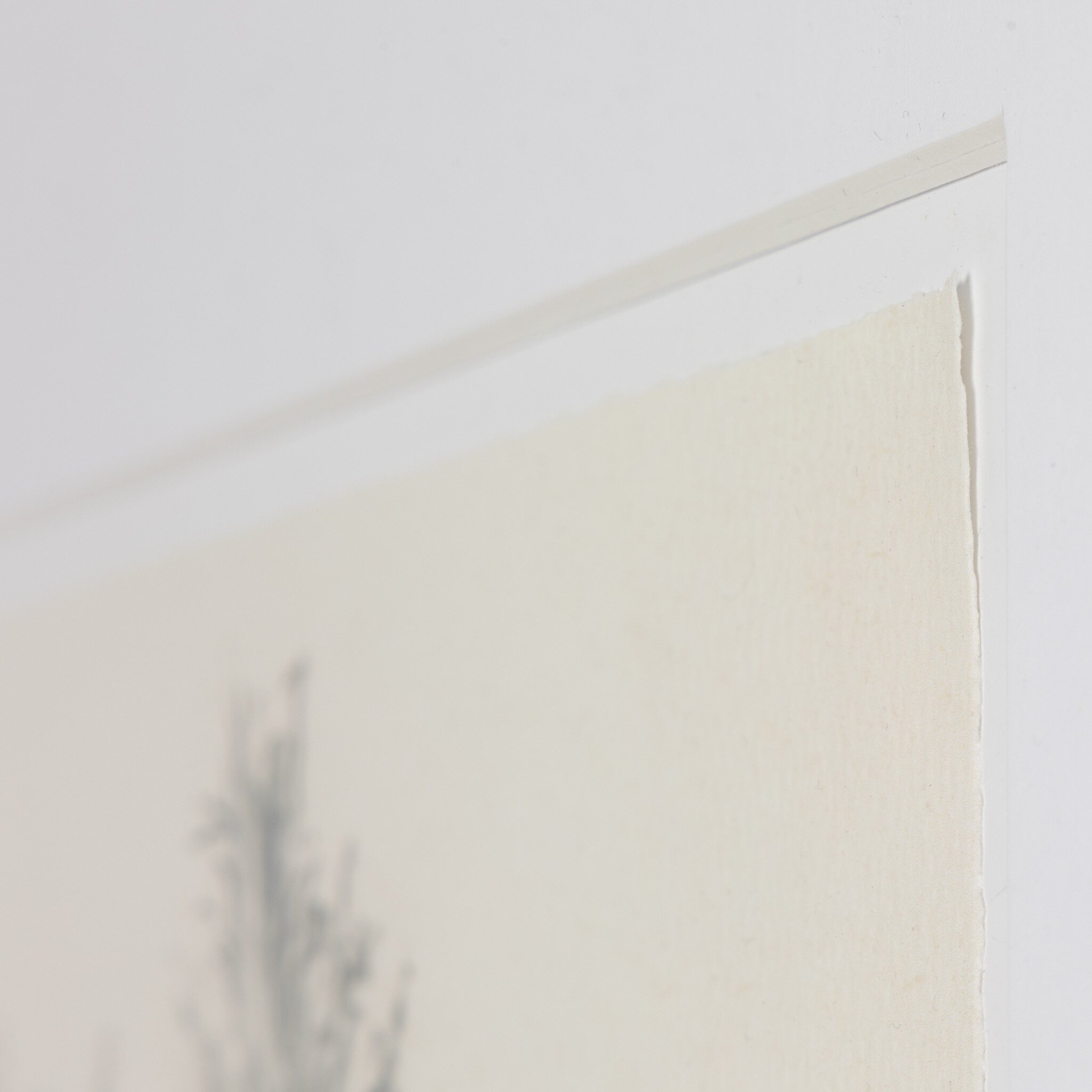 Tree Sketch by Dan Hobday - Black - Image 4