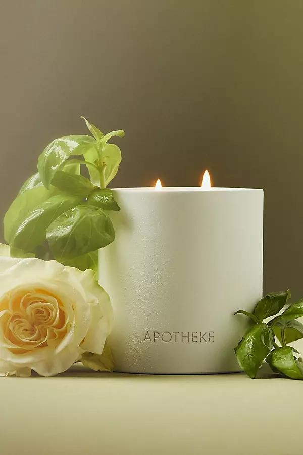 Garden Holy Basil & Rosewater Boxed Candle - Image 0