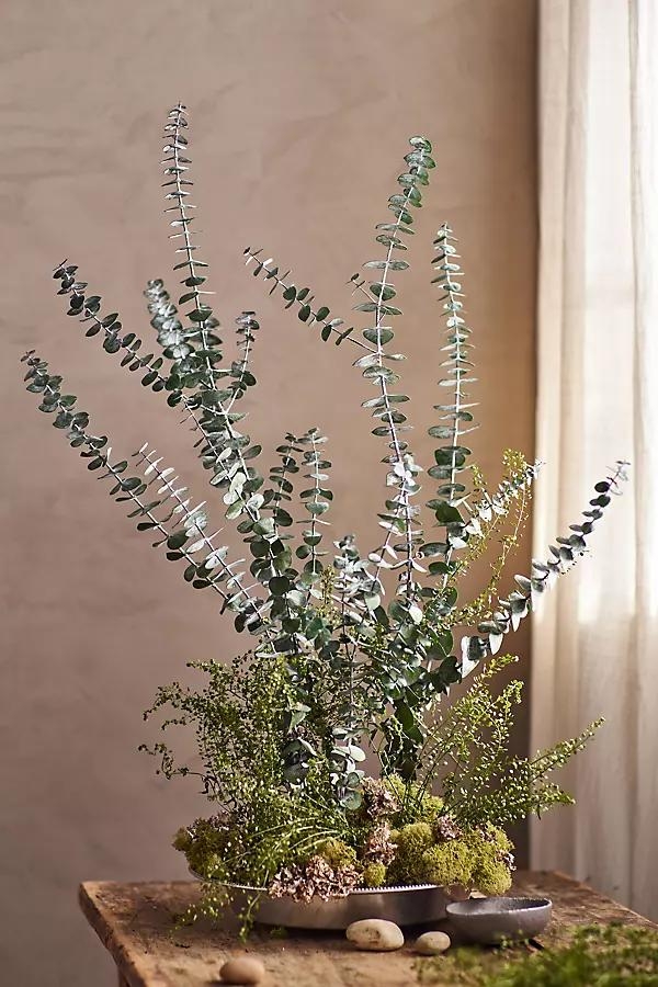 Preserved Baby Blue Eucalyptus Bunch - Image 0