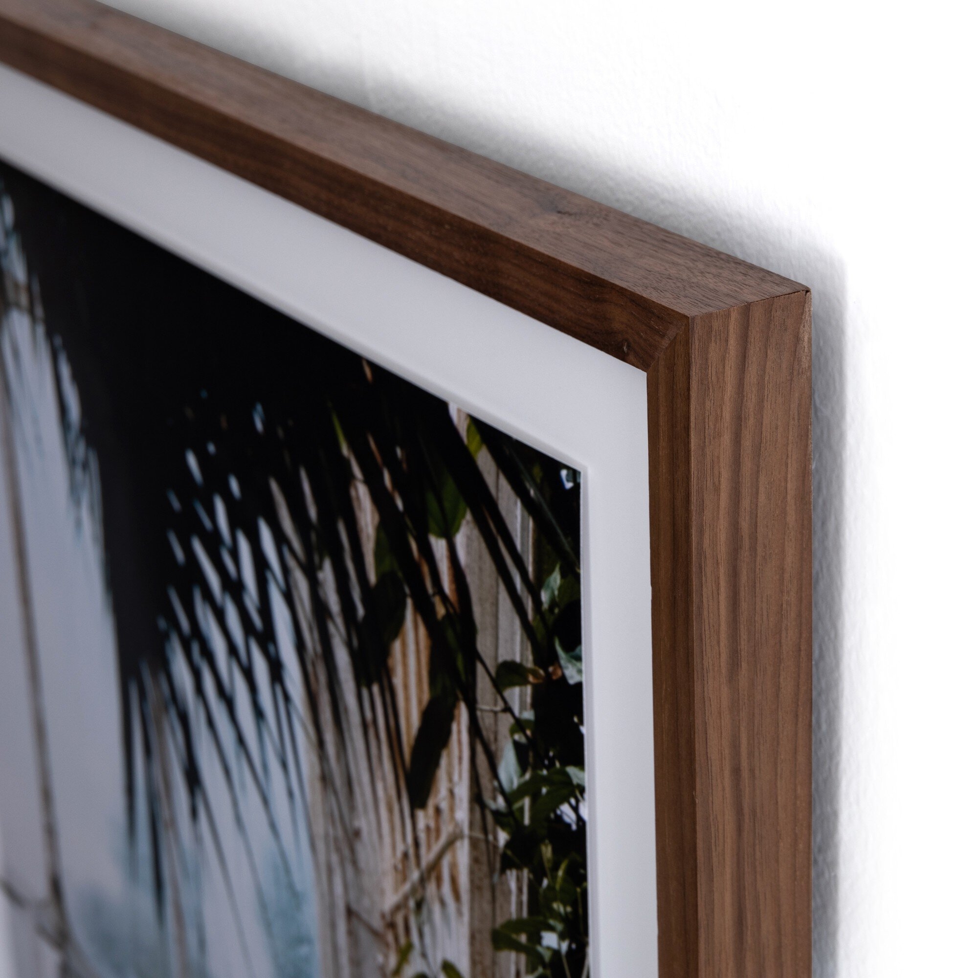 Greenhouse II by Annie Spratt - Walnut 2.5 - Image 2