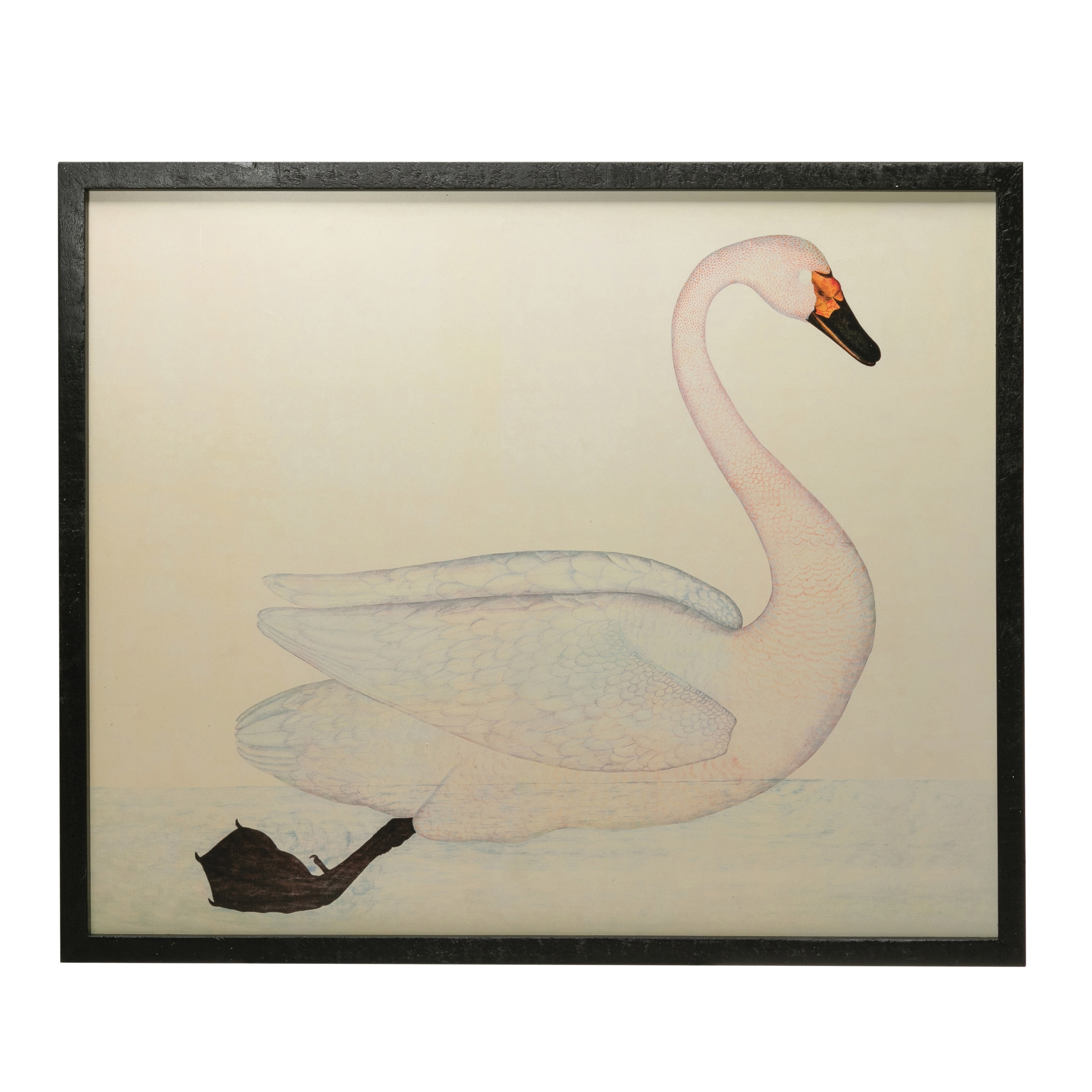 Wood & MDF Framed Wall Décor with Vintage Reproduction Swan Image, White - Image 0