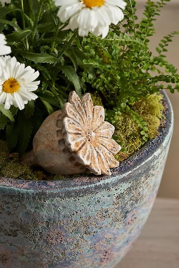 Cement Poppy Pod - Image 0