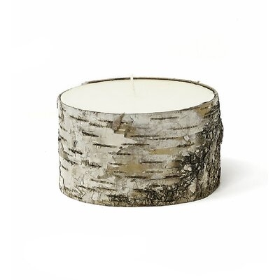 Serene Spaces Living Birch Bark Candle, Set Of 12 Large Size Pillar Style Candle Brings Nature Indoors, 5" In Diameter & 3" Tall - Image 0