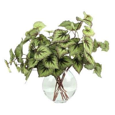 14.5" Artificial Foliage Plant in Vase - Image 0
