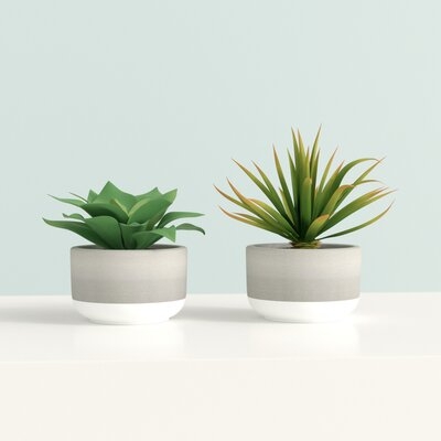2 Piece Desktop Artificial Succulent Plant in Pot Set (Set of 2) - Image 0