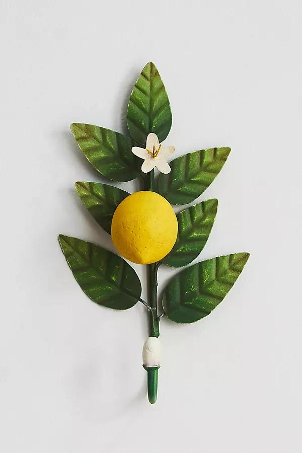 Fruit Metal Hook - Image 0