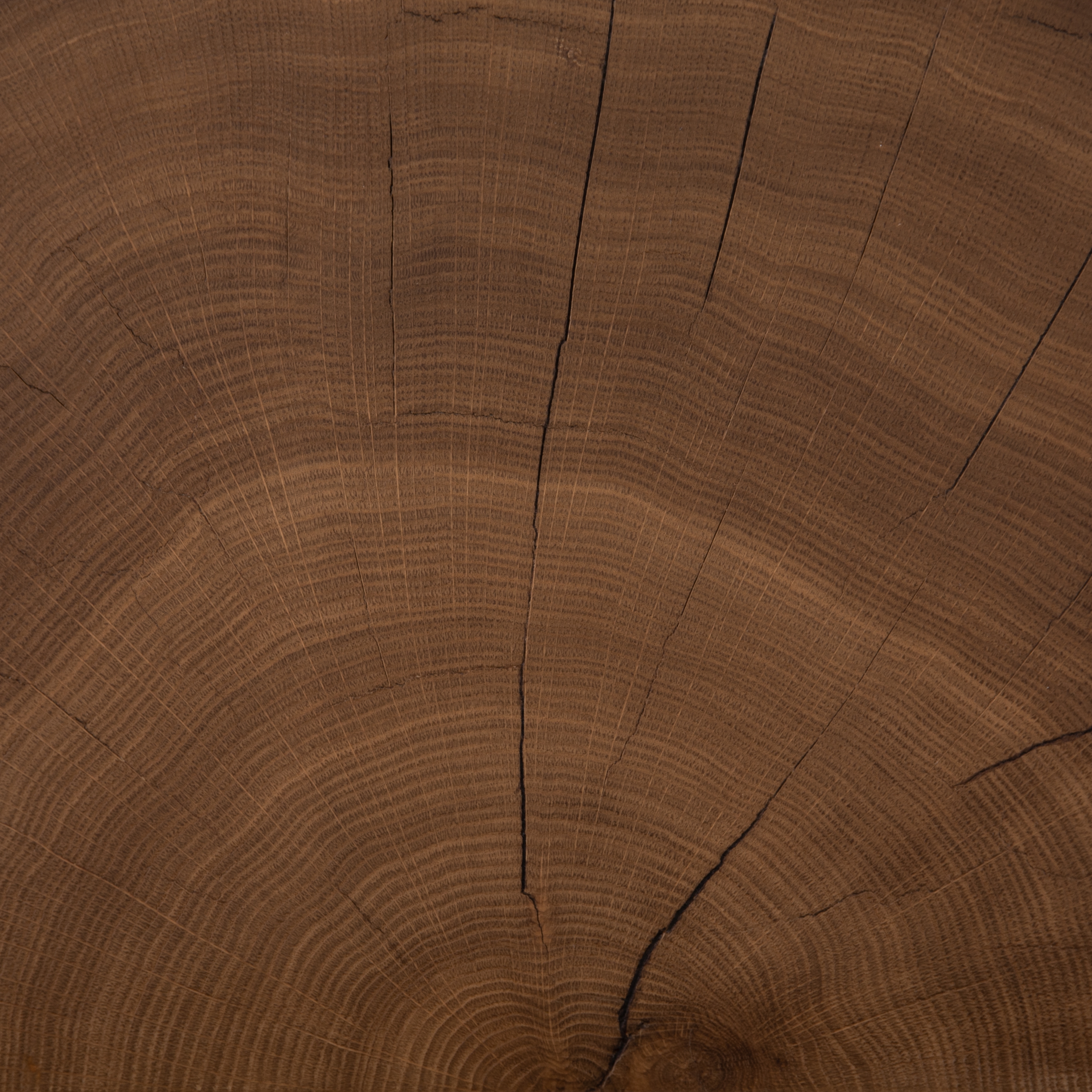 Bates Bunching Table-Caramel Ash Veneer - Image 3