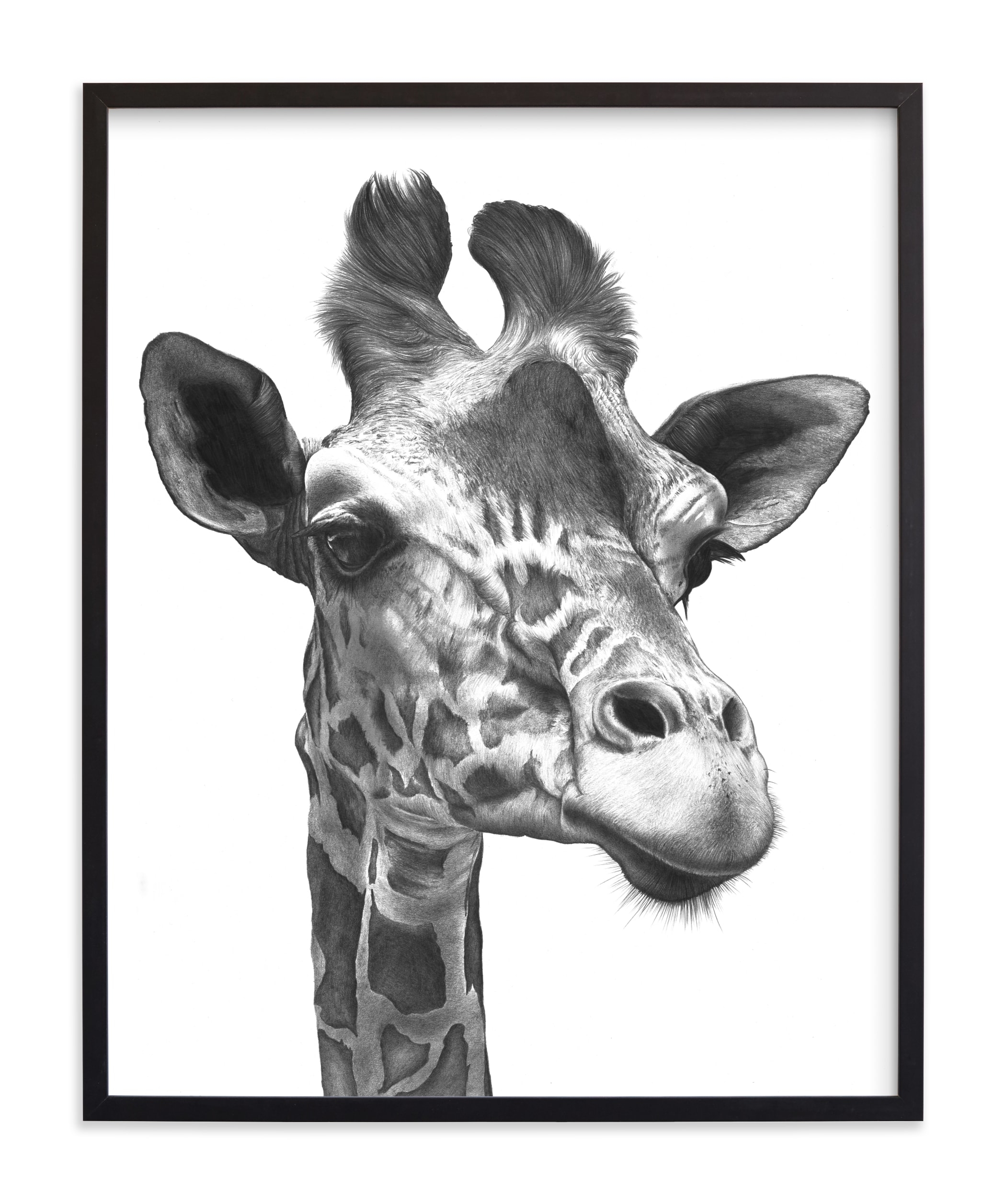 Giraffe Limited Edition Art Print - Image 0