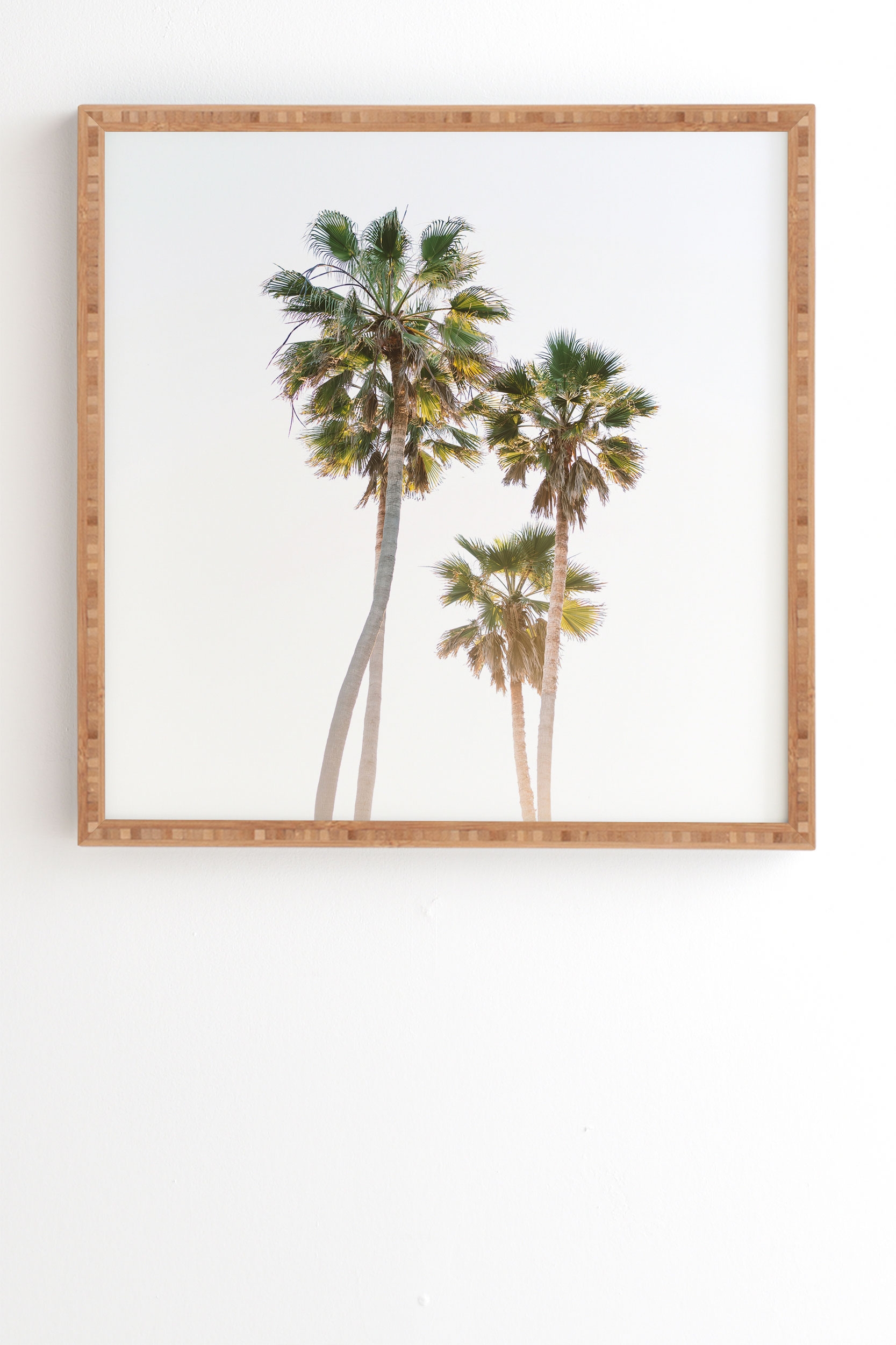 California Palms by Bethany Young Photography - Framed Wall Art Bamboo 30" x 30" - Image 1