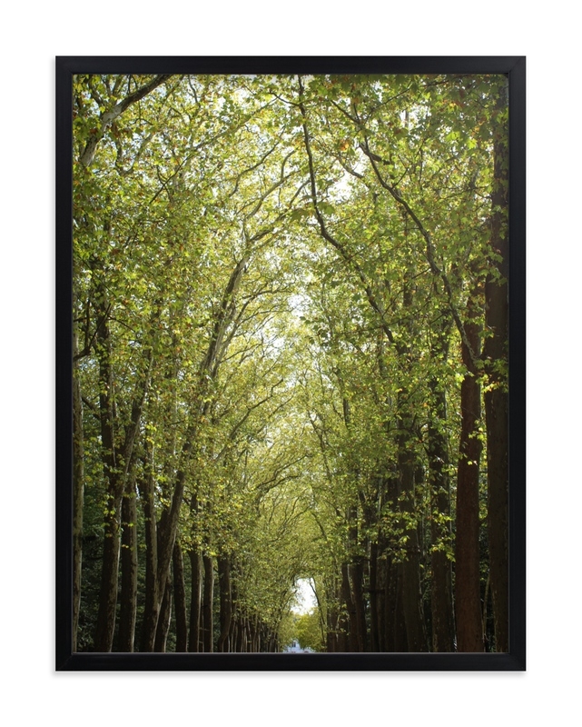 Canopy Of Trees Limited Edition Fine Art Print 1 - Image 0