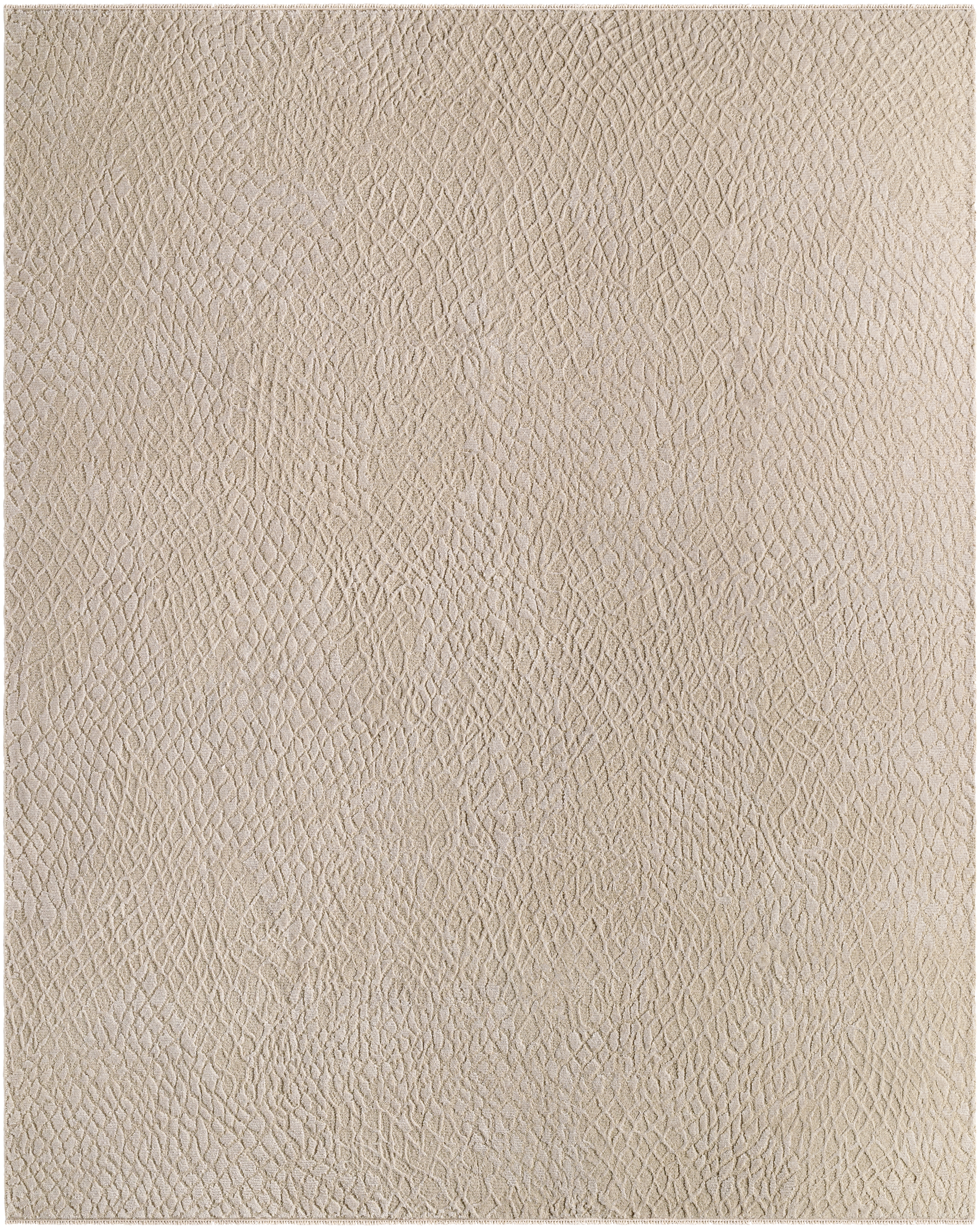 Reyyan Beige Indoor 6' x 9' Handmade Rug - Image 0