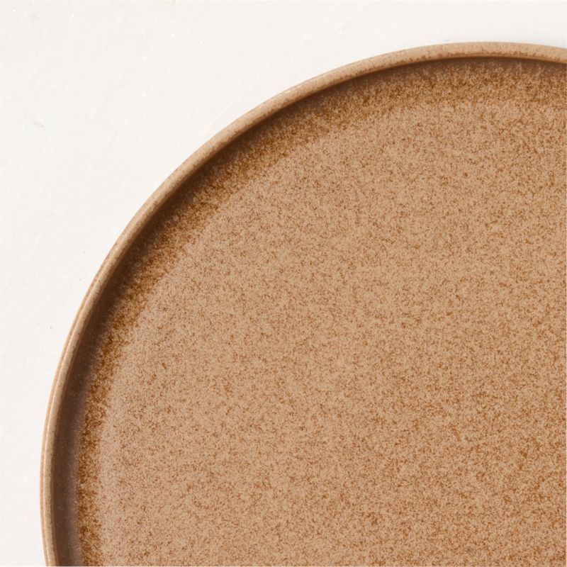 Drift Tan Dinner Plates with Reactive Glaze Set of 6 - Image 2
