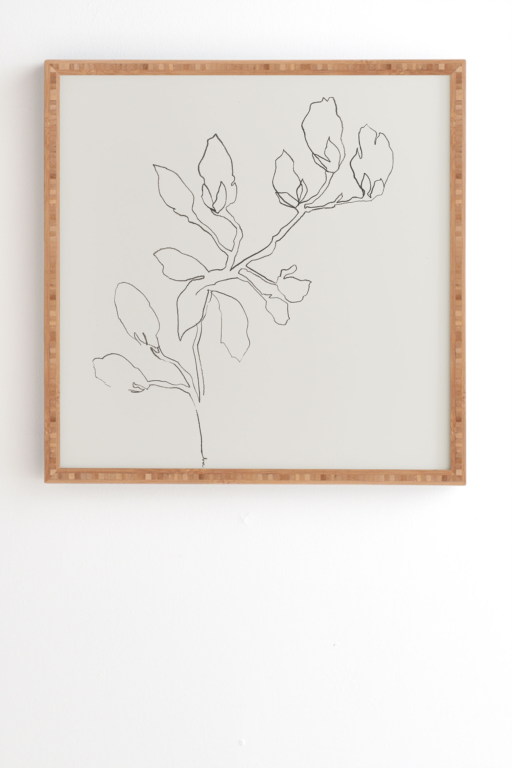 Floral Study No 3 by Megan Galante - Framed Wall Art Bamboo 20" x 20" - Image 1