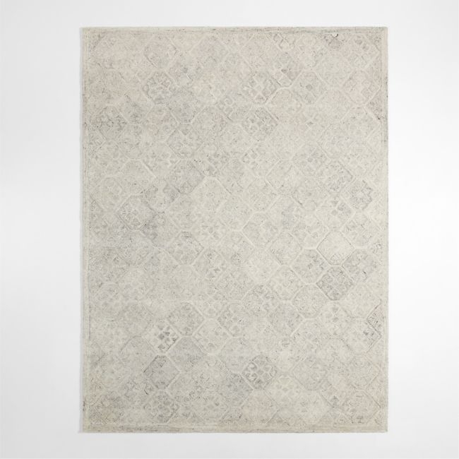 Valencia Wool Handwoven Ivory Area Rug 6'x9' - Image 0