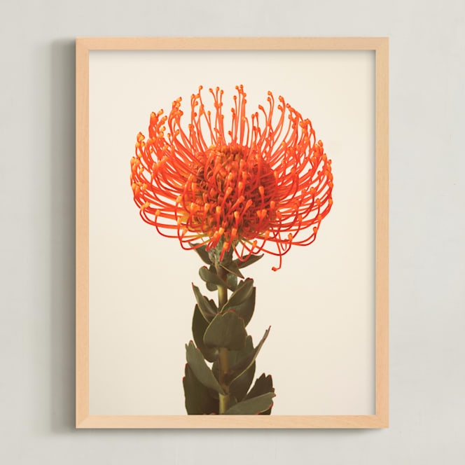 Protea I Limited Edition Fine Art Print 2 - Image 0