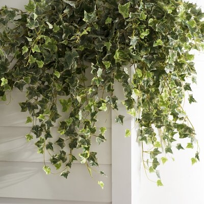 Artificial Variegated Mini Hanging Bush Ivy Plant - Image 1