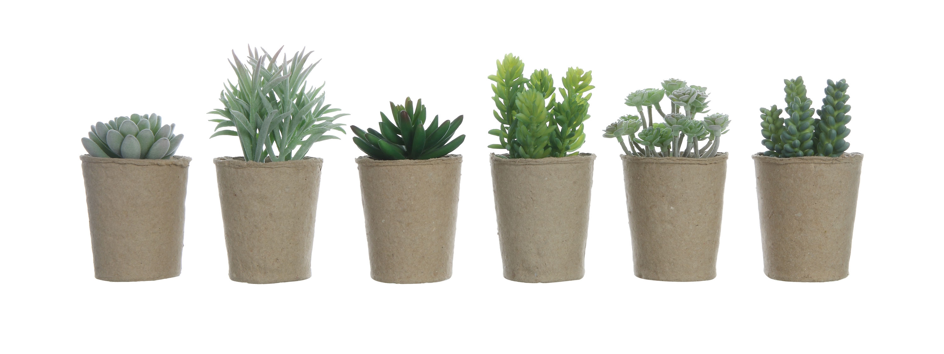 Faux Succulent in Paper Pot (6 Styles) - Image 0